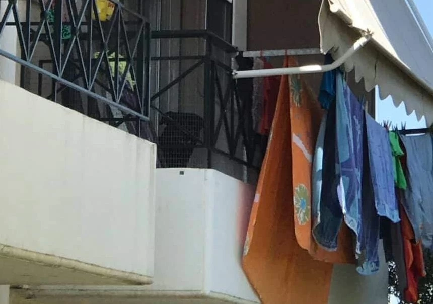 Τραγωδία με το νεκρό βρέφος από ροτβάιλερ: «Το μωρό αυτό το γέννησε με πολύ κόπο»